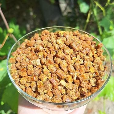 çay termosu: Propolis, güləm, arı çörəyi (perqa) – təbii arıçılıq məhsulu Hər bir — 2