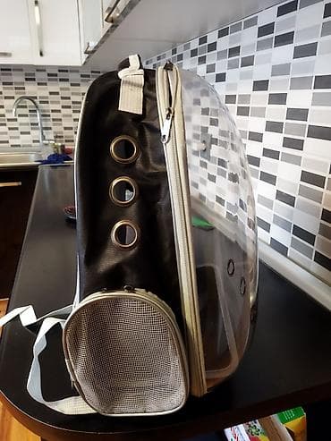 pişik qara: Sola çevir.yenidir.isdeyen olsa vatsapa göndere bilerem vidiosun.Ev — 2