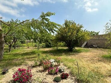 bayilda evler satilir: Binə 5 otaqlı, 150 kv. m, Kredit yoxdur, Yeni təmirli — 21