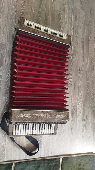 Akustik Akkordeon, İşlənmiş — 6