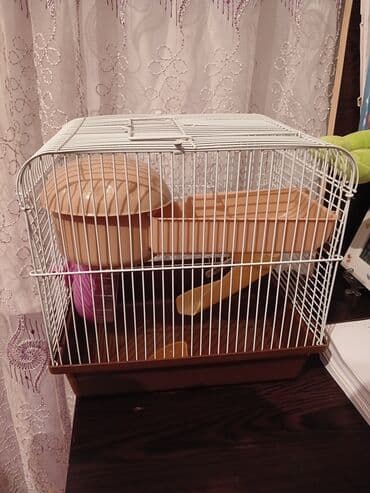 купить домик для кота: Xomyak üçün qəfəs və aksesuarlar dəsti qiymətdə endirim oluna bilər - — 2