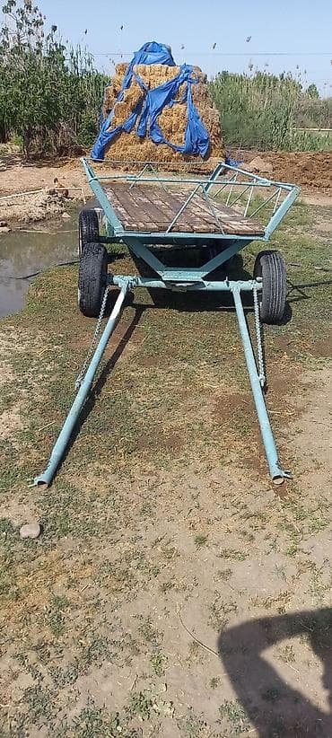 mini belarus traktor: At arabası satlır 350 manata saatlı rayonunda — 3