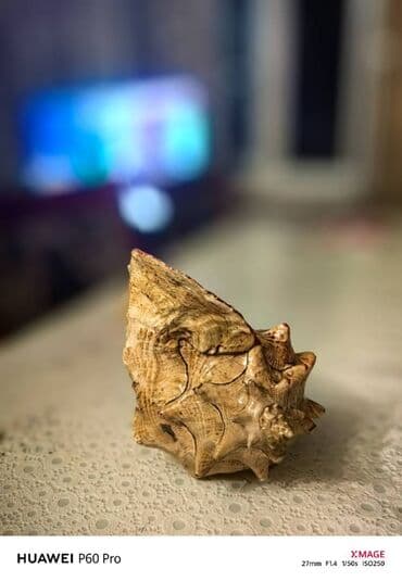 deniz ucun cetirler: Fiqur — 5