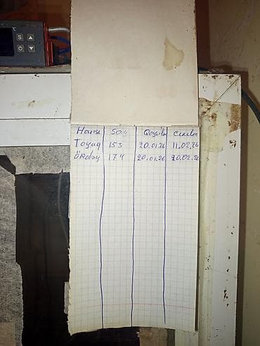 Kənd təssərüfatı avadanlığı: Bütün növ quşlaq üçün — 1
