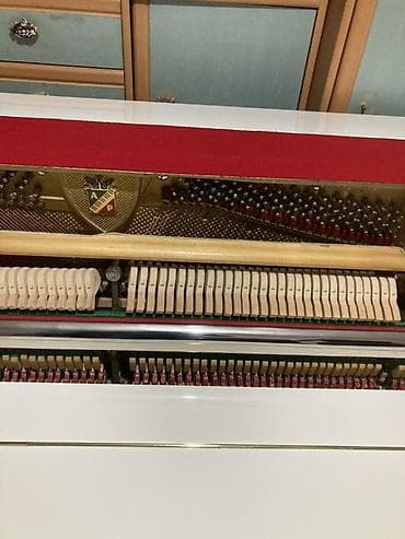 🎹 Pianoların təmiri və köklənməsi * ✔️ Klaviş və mexanizmin təmiri *