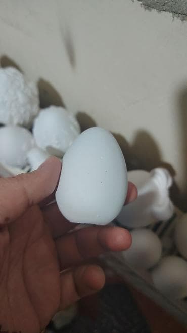 ağ sement: Fiqur, Gips, rəng - Ağ — 3