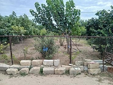 Torpaq sahələrinin satışı: 17 sot, Kənd təsərrüfatı, Kupça (Çıxarış) — 6