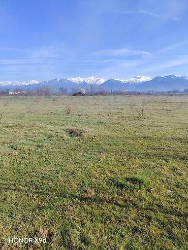 qebele torpaq: 30 sot, Kənd təsərrüfatı, Mülkiyyətçi, Texniki pasport — 8