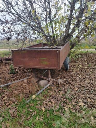 maşın üçün çexol: At arabaları — 4