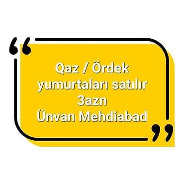 dana qiyməti siyəzən: Qaz və ördək yumurtaları satılır. - Növ: Qaz yumurtası, Ördək — 1