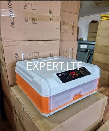 hinduska yumurtasi nece gune cixir: Expert şirkətinin rəsmi istehsalı olan, android-rejimli aparatların — 16