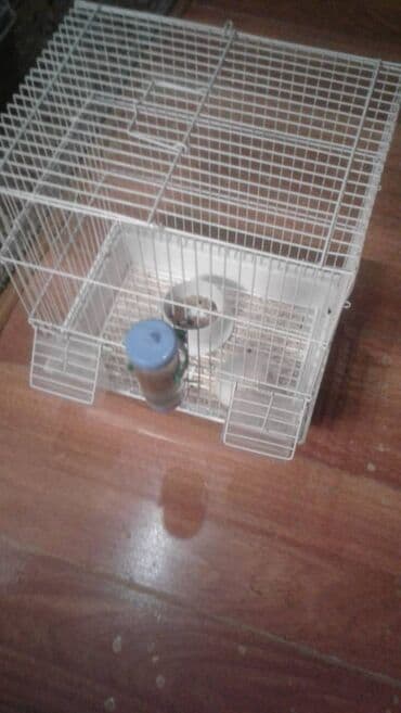 quş yuvası düzəltmək: Quş qəfəsi — 1