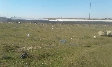 2 sot, Kənd təsərrüfatı, Mülkiyyətçi, Kupça (Çıxarış)