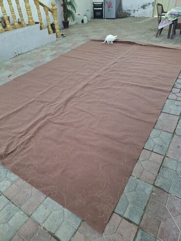 Bitkilər: Xalça Dekorativ, Azərbaycan, Kredit yoxdur — 6