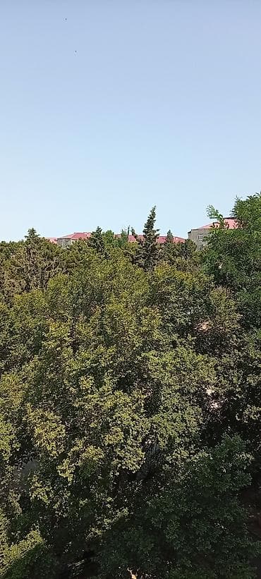 şerifzade kucesi: 4 otaqlı, Yeni tikili, 82 kv. m — 4