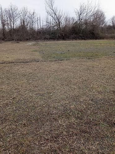 18 sot, Tikinti, Mülkiyyətçi, Kupça (Çıxarış)