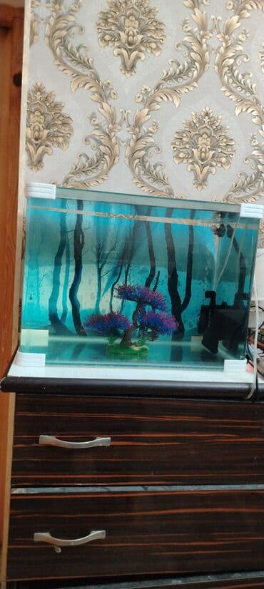 Dördbucaq akvarium, Boş, 80 l, Ödənişli çatdırılma