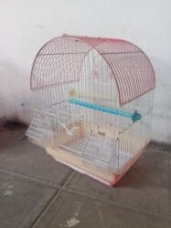 çardaq quşun yuvası: Papuqay və amadin üçün qəfəs. Real alıcı buyurub əlaqə saxlaya bilər — 2