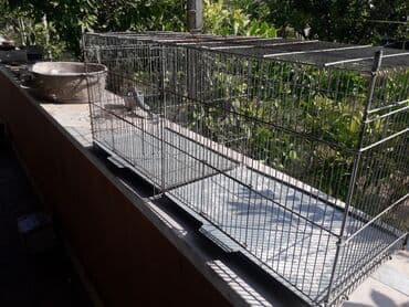 купить клетку для морской свинки: Popiqay qegesidi — 3