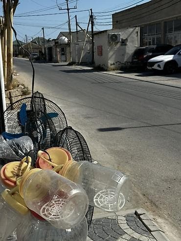 yapon gavalisi: Evvəla salam Magaza binə atciliqda orta yolda yerləşir və hazir biznes — 1