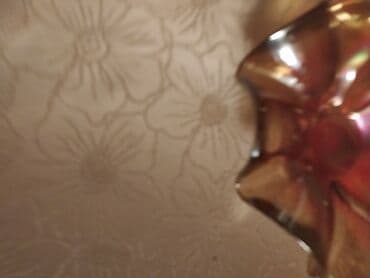 gerkules qiymeti: Antik güldan 50 ilindir hündürlük-34 sm bir ədəddir qiymət 30 AZN — 3