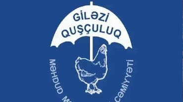 работа в баку на дому няня вакансии: Giləzi Quşçuluq wirketine iwciler teleb olunur . Iw saati 8.00 dan — 1