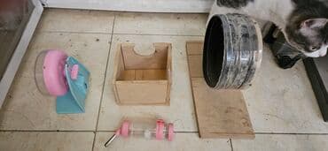 клетка для хомяков: Ev heyvanları üçün bir neçə əşya dəsti. Dəstə qaçış çarxı, içməli qab — 1