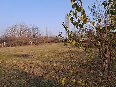 cefer xendan kucesi: 25 sot, Mülkiyyətçi — 5