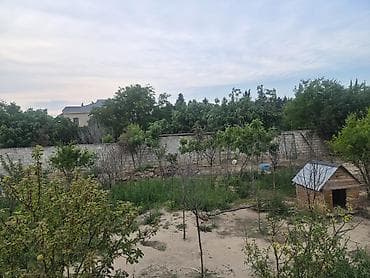 nar bagi: 3 sot, Tikinti, Mülkiyyətçi, Texniki pasport, Kupça (Çıxarış) — 2