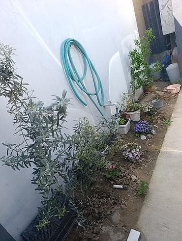 kiraye eviler: Mərdəkan 4 otaqlı, 65 kv. m, Yeni təmirli — 2