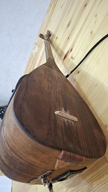 Fleytalar: Elektro saz — akustik-elektrik xalq aləti İdeal vəziyyətdədir . Çox az — 7