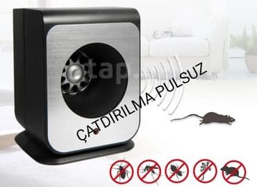 Siçan qovan, Pulsuz çatdırılma