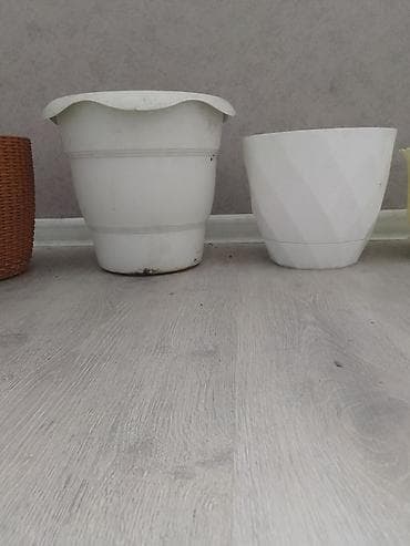 dibçək gül: Plastik güldanlar və saksılar dəsti Hamsi bir yerdə 10 manat.050 670 — 4