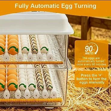 120 yumurtalı, ikiqat enerji mənbəli inkubator - 5 çıxartma rejimi: 4 — 7