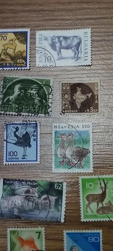 Velosipedlər: Mövzu: Heyvan və quş mövzulu markalar kolleksiyası – müxtəlif ölkələr — 3