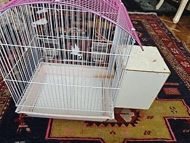 Heyvanlar üçün mallar: Quş qəfəsi və yuvalıq dəsti - Material: metal barmaqlıqlar, plastik — 1