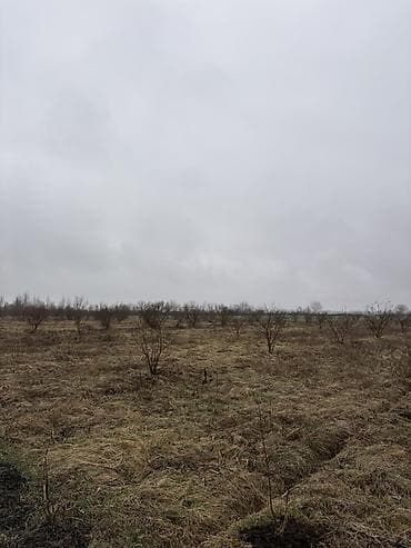 4 mikrorayon kiraye evler: Kənd təsərrüfatı, Kupça (Çıxarış) — 8