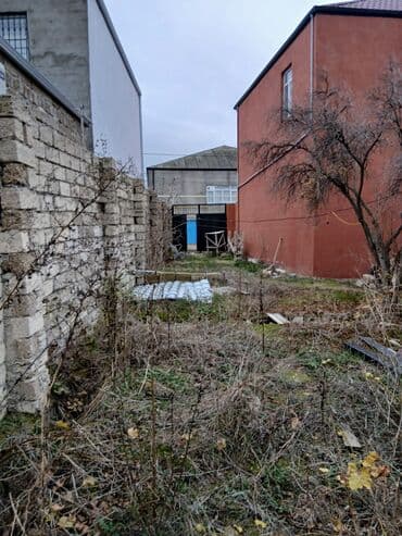 Mənzillər: 3 sot, Tikinti, Mülkiyyətçi, Kupça (Çıxarış) — 6