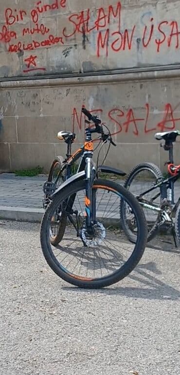 Stəkanlar: Dağ velosipedi Velocruz, 26" — 4