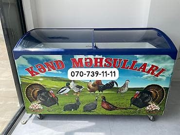 Şüşəli dondurucu