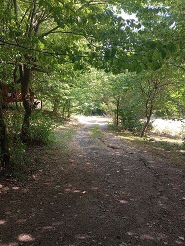 kirayə aylıq: 3000 kv. m, 3 otaqlı — 15