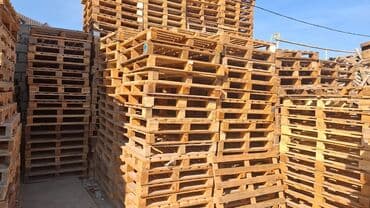 Отделочные материалы: Поддон, 800 х 1200 см — 3