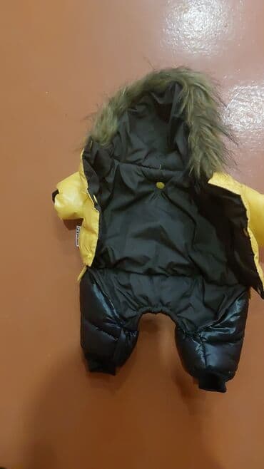 pişik geyimi: It ucun geyim — 2