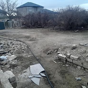 Собаки: Самка, лет: 2, 12 кг, Для молока — 3