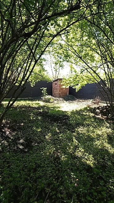 kafe arenda 2021: Satılık təsərrüfat/istehsalat obyekti - Geniş qapalı istehsal/saxlama — 1