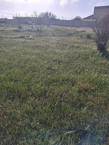 saray heyet ev type 1: 12 sot, Tikinti, Mülkiyyətçi, Kupça (Çıxarış) — 2