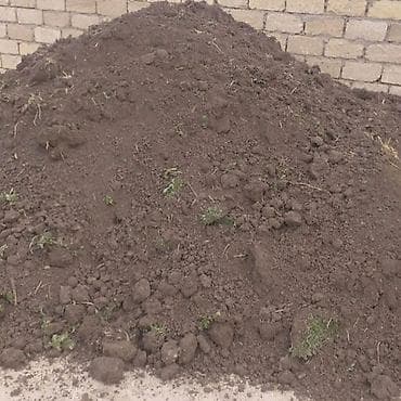 şam qəlibi: Qara Torpaq Peyin sifarisle. Yukler birbasa unvana catdirilir.yukun — 1