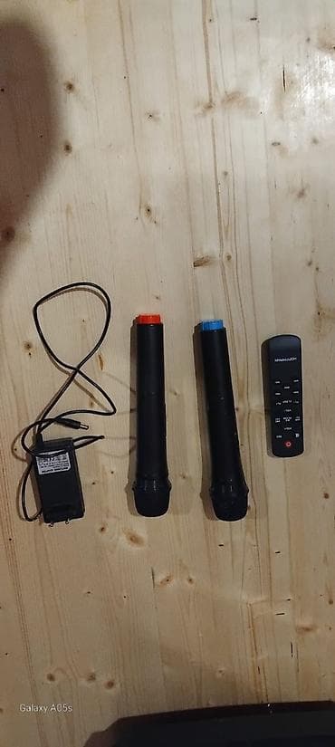 Hoffmann karaoke partnyoru – böyük portativ akustik sistem — 4