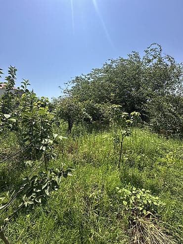 4 göz satışı: 5 sot, Tikinti, Mülkiyyətçi, Kupça (Çıxarış), Texniki pasport — 4