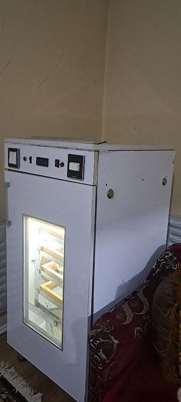 Azərbaycan, Tam avtomat — 8